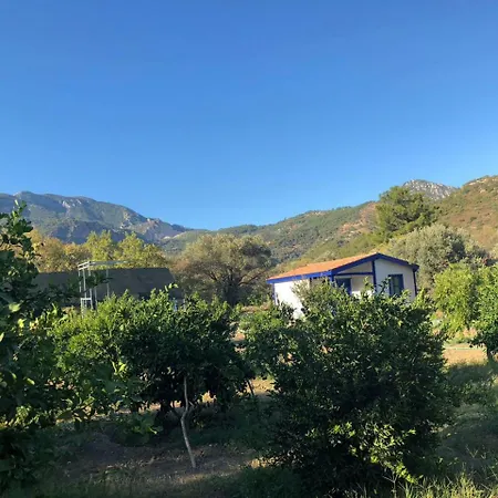 Bed & Breakfast Zeytinli Bahce Bungalov