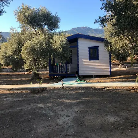 Zeytinli Bahce Bungalov فندق مبيت وإفطار *