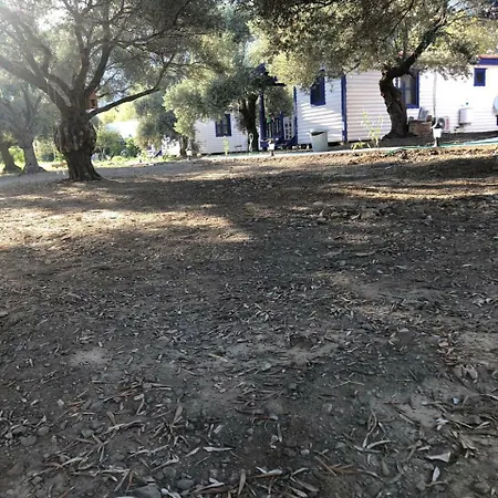 Zeytinli Bahce Bungalov فندق مبيت وإفطار موجلا
