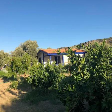 Zeytinli Bahce Bungalov فندق مبيت وإفطار