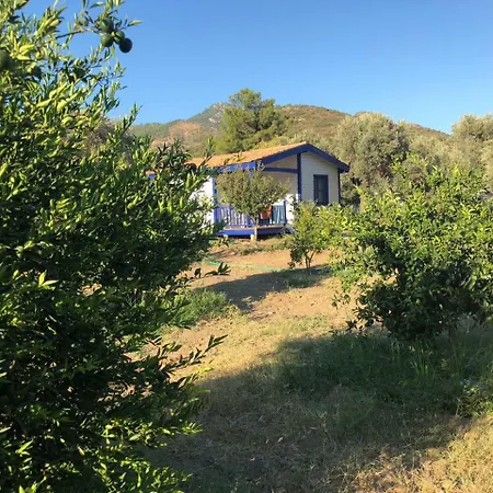 Zeytinli Bahce Bungalov *